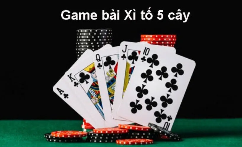 Cách Chơi Bài Xì Tố Bj88 Cổng Game Hấp Dẫn Lôi Cuốn Các Game Thủ 3 Các thuật ngữ thường gặp trong Cách Chơi Bài Xì Tố Bj88